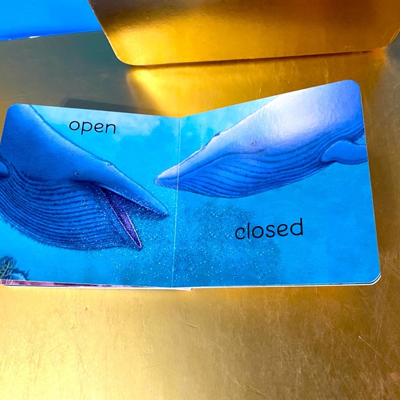 RAINBOW FISH VINTAGE HARDCOVER BOARD BOOK BUNDLE OF 2 MARCUS PFISTER 1996 & 2005 - Picture 12 of 14